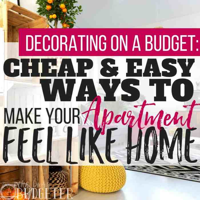 How to cheaply decorate your apartment