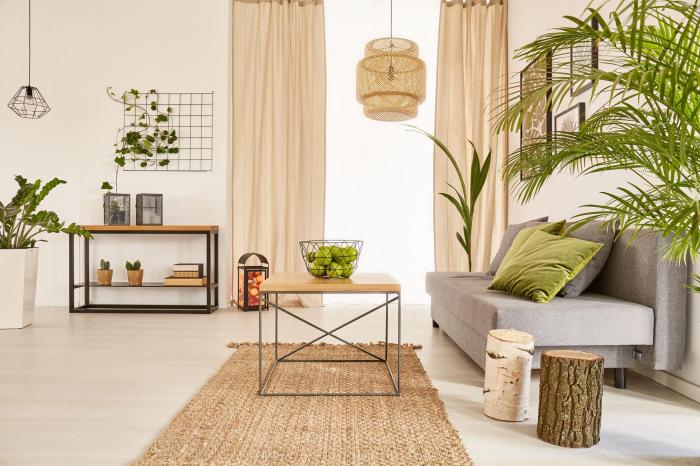 How to decorate your apartment with plants