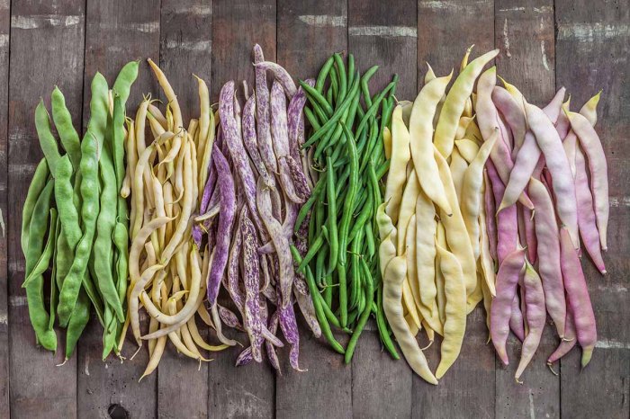 How to cook pole beans country style