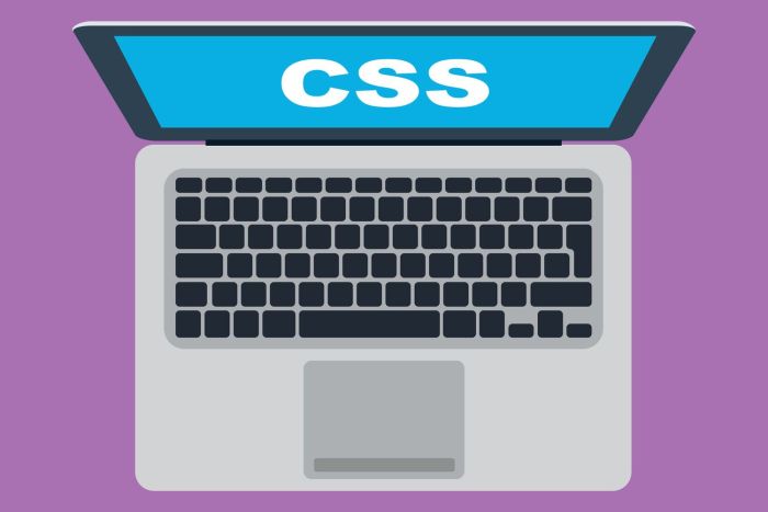 What are the types of decorating styles css